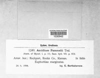 Image Associated With the Occurence